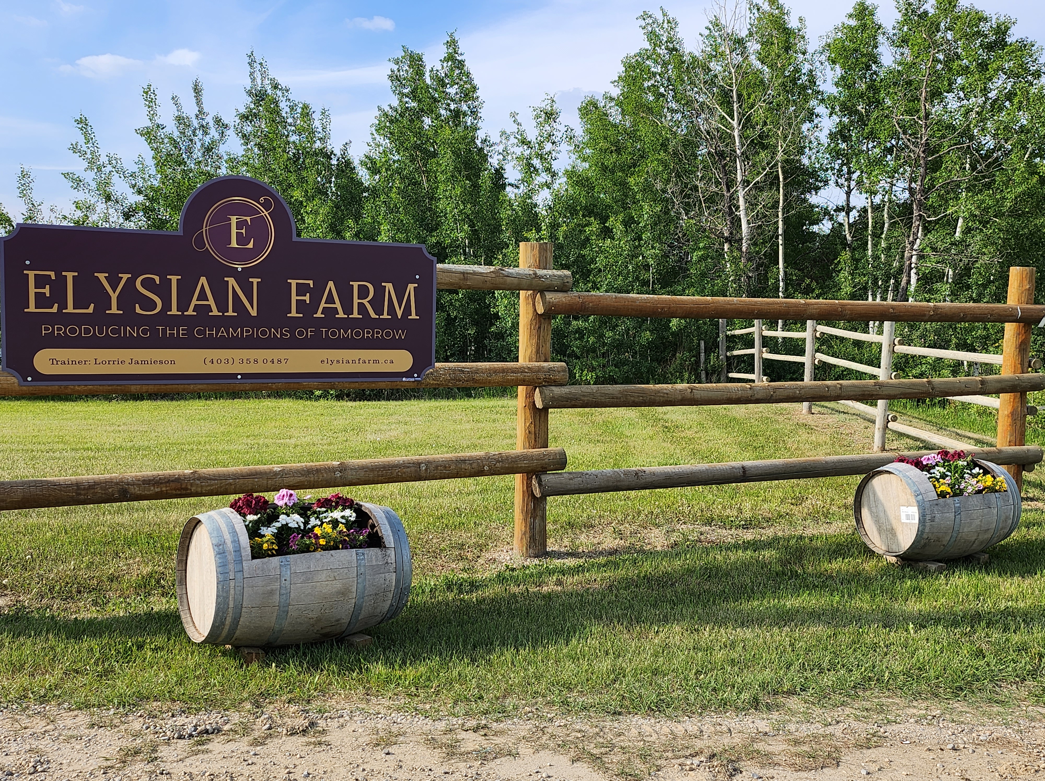 About Us – Elysian Farm