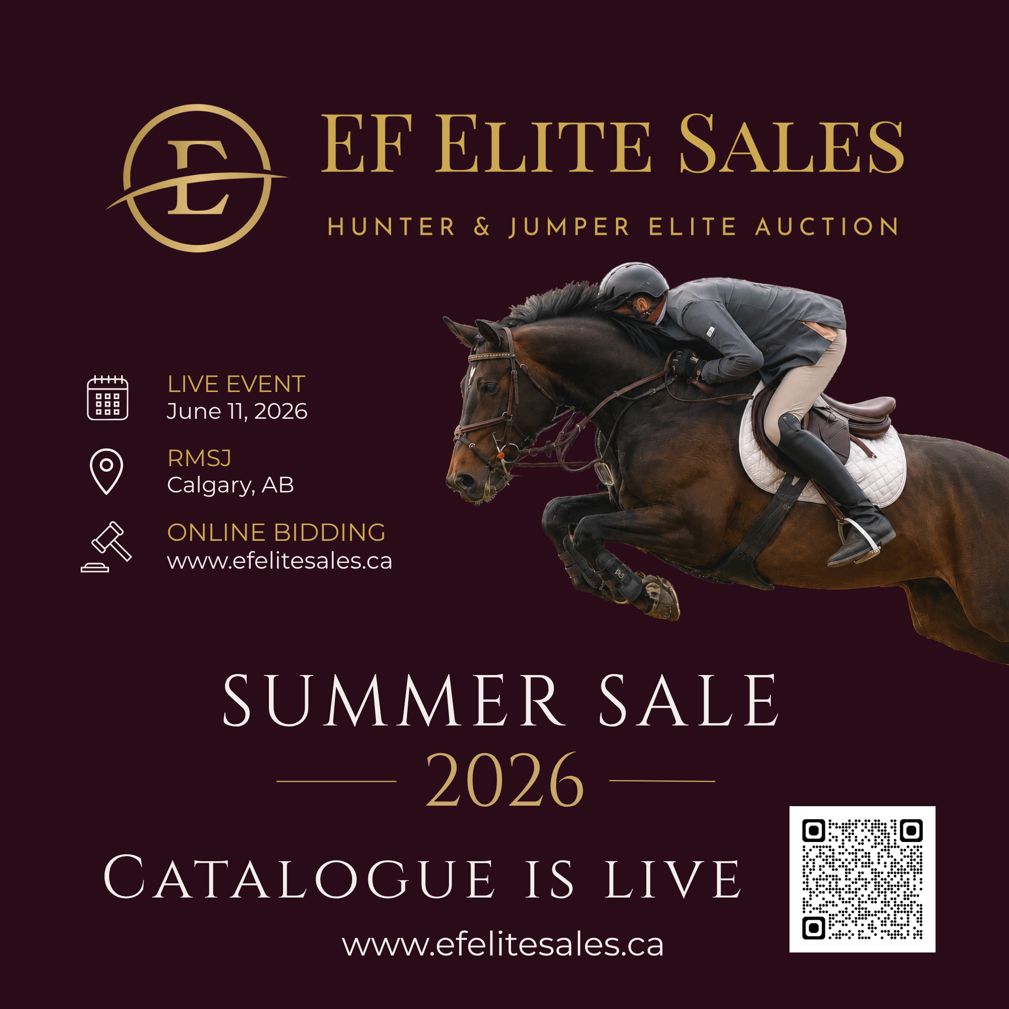 Elysian Farm – show jumping, breeding, training, sales
